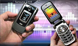 Samsung Z308
