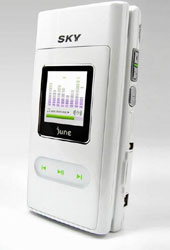 Pantech IM-U110