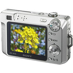 Sony DSC-W100