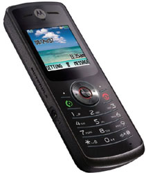 Motorola W175