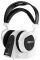 Ritmix RH-721